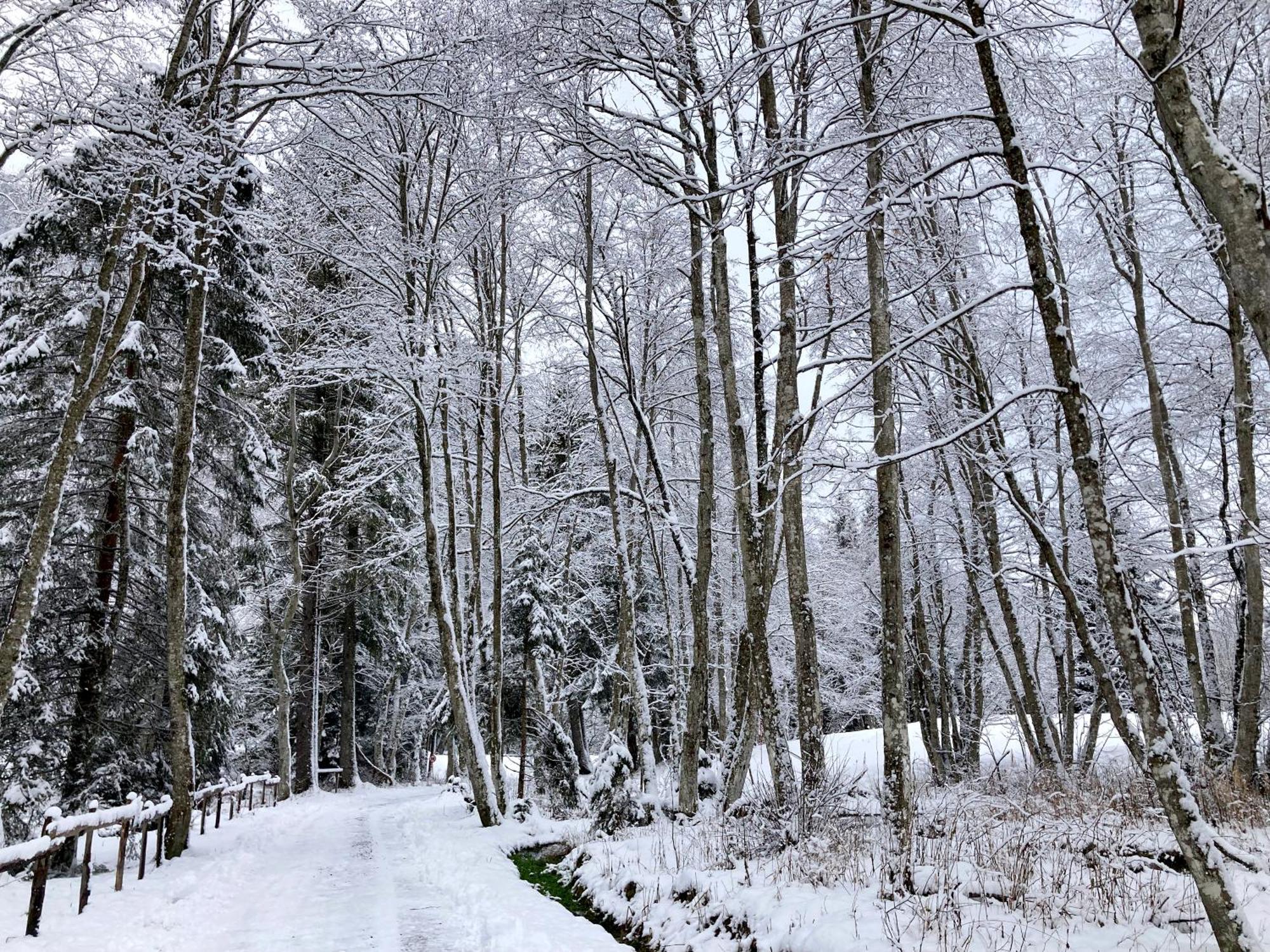 Готель La Ferme Du Praz Ле-Контамін-Монжуа Екстер'єр фото