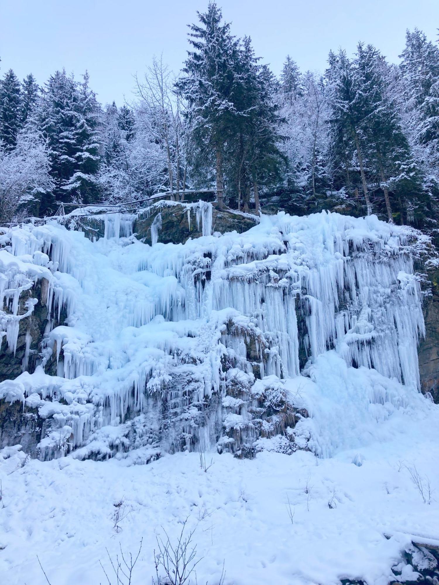 Готель La Ferme Du Praz Ле-Контамін-Монжуа Екстер'єр фото
